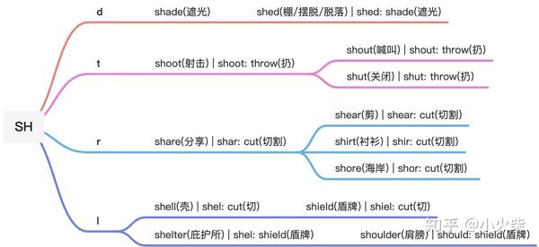 全面水瓶座