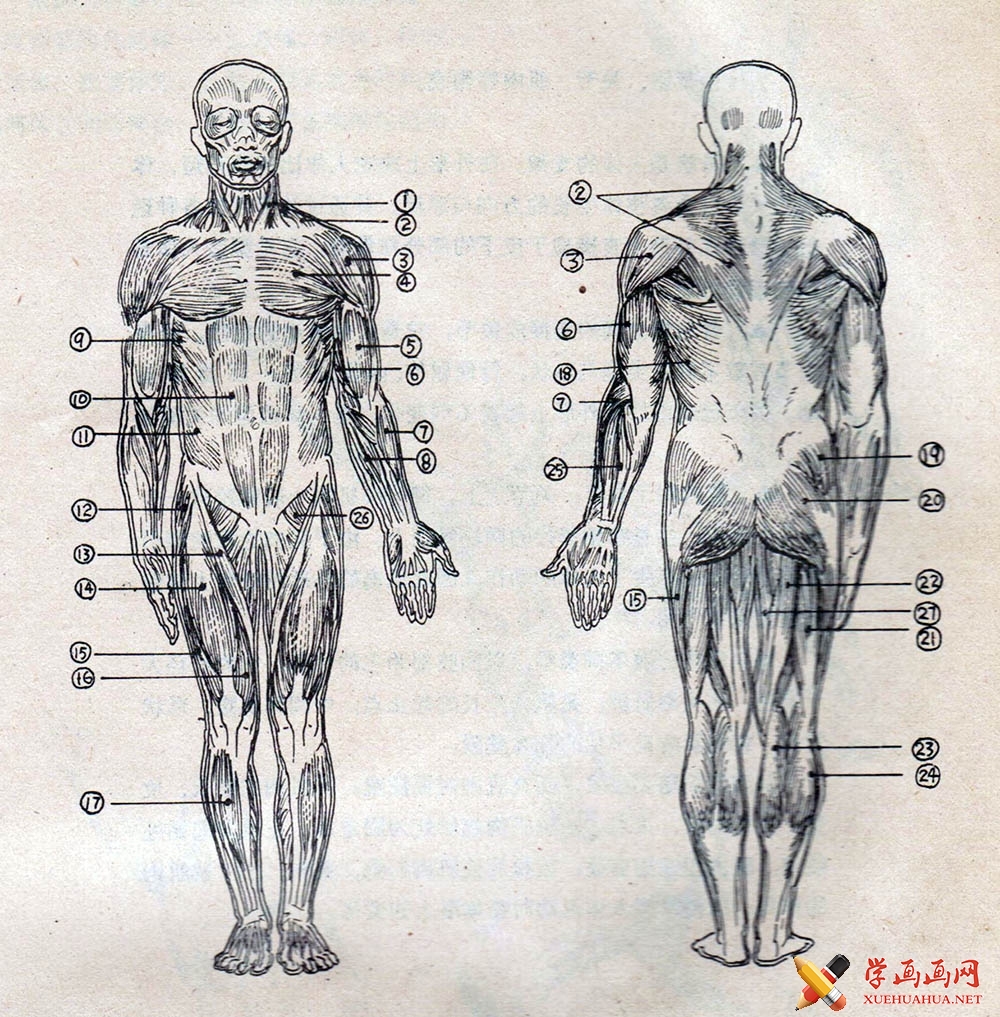 图解教程：小米3卡刷机详细步骤指南，轻松上手无难度 (小图案教程)