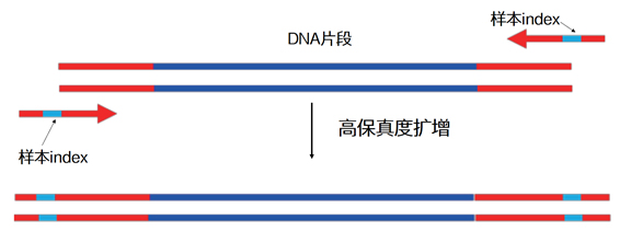 详解uimi4刷机教程：从入门到精通，轻松搞定手机刷机 (详解杭州亚运会会徽和口号)