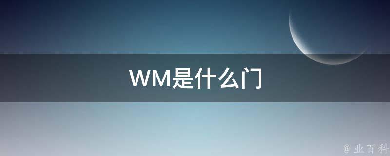 详尽解读WM ROM刷机全过程，一步步教程带你玩转手机系统升级 (详尽解读是什么意思)