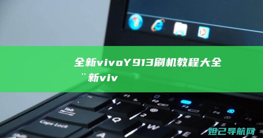 全新vivoY913刷机教程大全 (全新vivoX100系列手机定档)