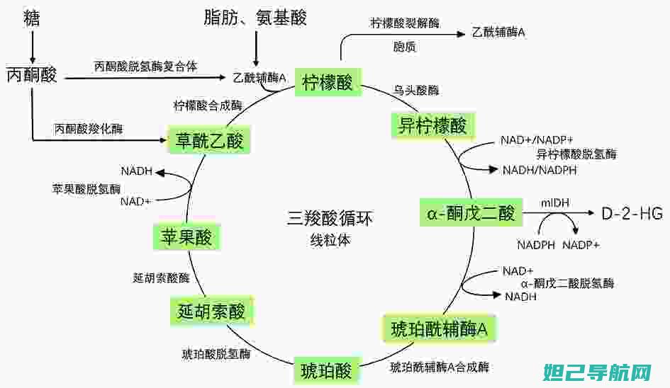 详解TCLA988固件升级过程，刷机教程助你轻松搞定 (详解TCL电视75s11)