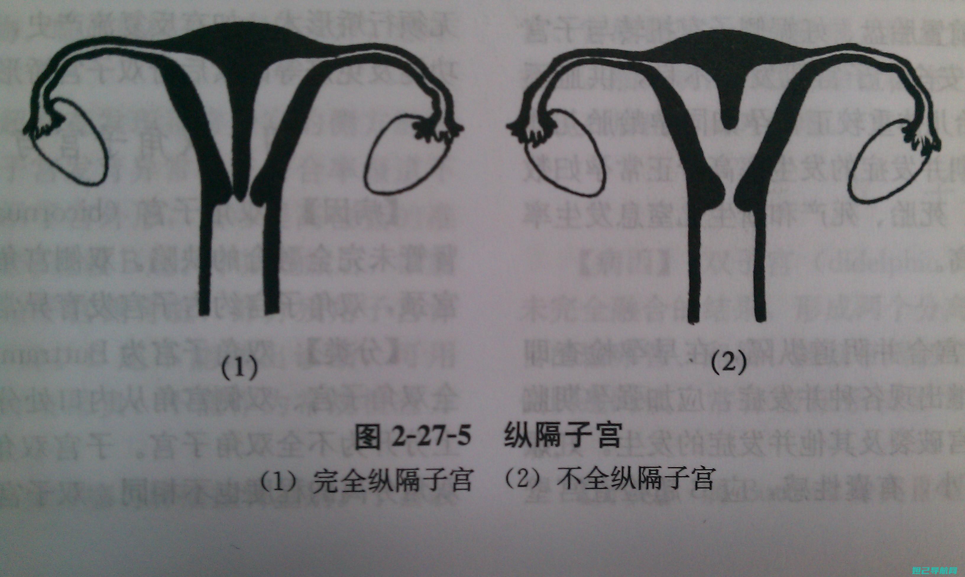 全面！OPPO手机及