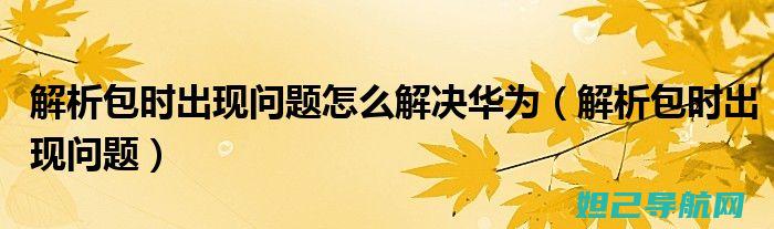 详尽解析：苹果XS Max刷机步骤与注意事项——你不可错过的操作指南 (苹果解释)