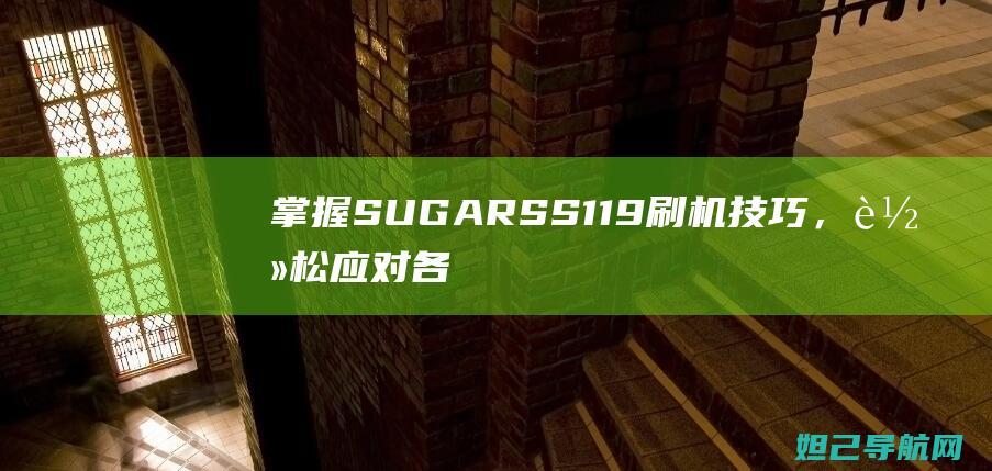 掌握SUGARSS119刷机技巧，轻松应对各种升级问题 (掌握素质提高的意思)