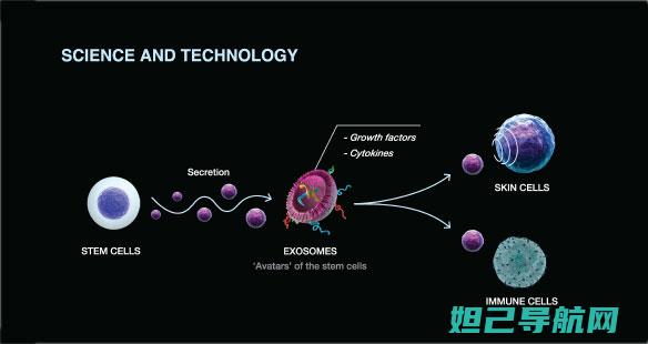 yepenv660刷机教程大揭秘：完整流程助你轻松上手