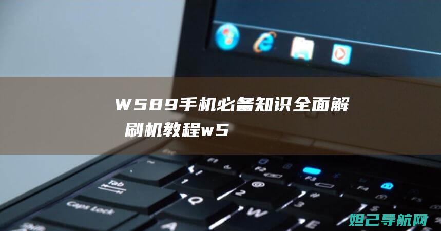 W589手机必备知识：全面解析刷机教程 (w595c手机)