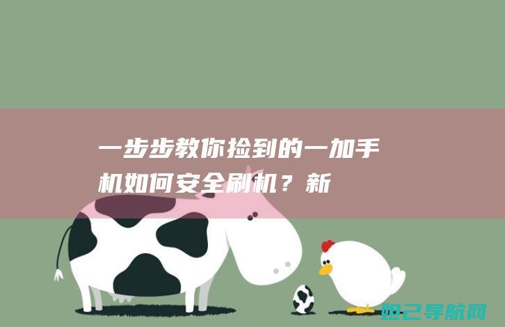 一步步教你捡到的一加手机如何安全刷机？——新手刷机教程 (怎么捡起来啊)