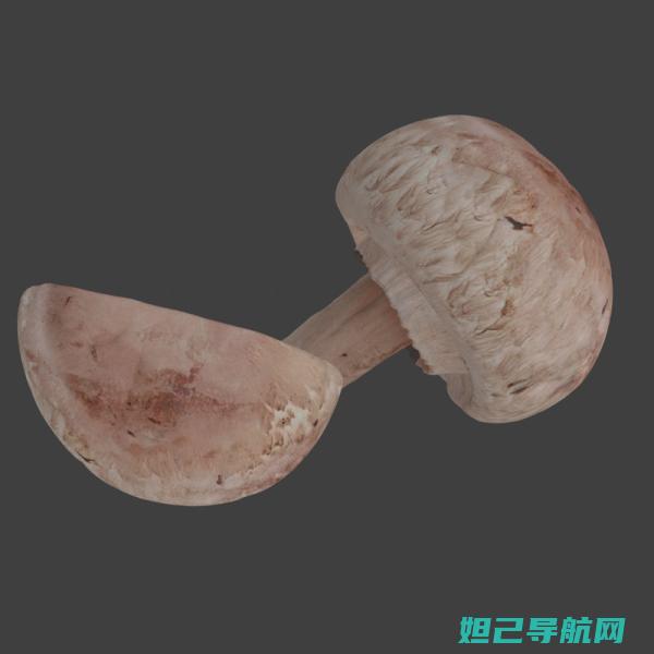 全新蘑菇m2刷机指南：从入门到精通，轻松搞定手机升级 (蘑菇m5)