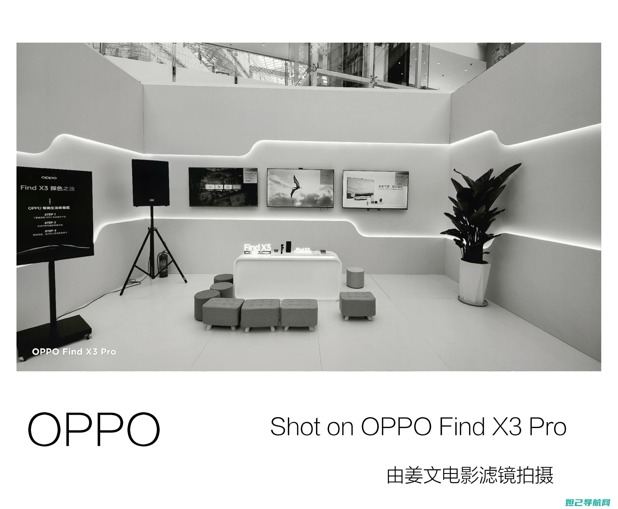 OPPO定制手机刷机全攻略：从准备到操作，轻松掌握每一步 (oppo定制版手机有哪些)