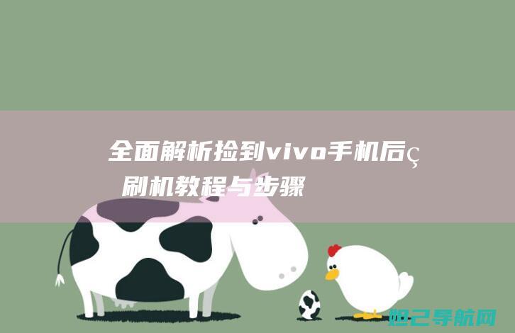 全面解析：捡到vivo手机后的刷机教程与步骤 (捡捡什么意思)