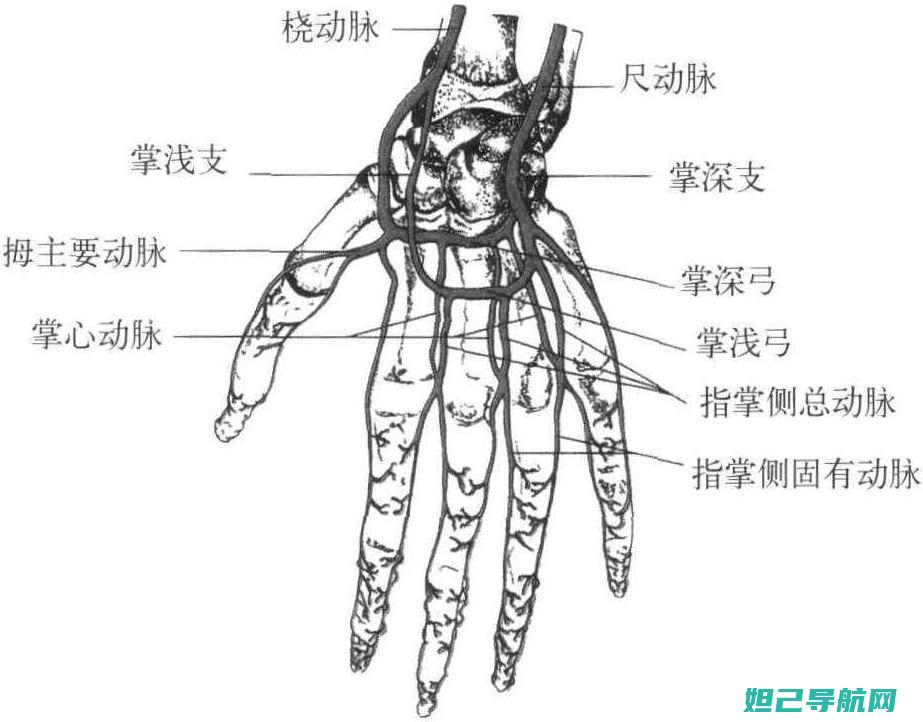 深入浅出：手机Win8系统如何刷机？新手也能轻松上手 (深入浅出fm)