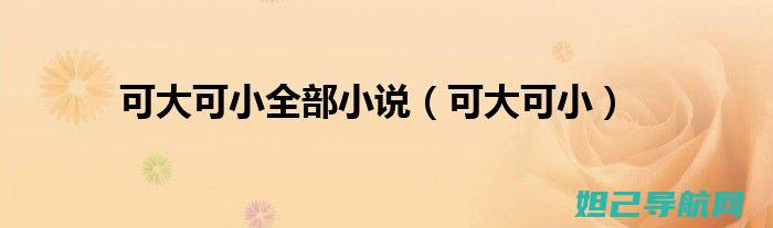 全面掌握小可乐手机刷机技巧，轻松解决各种问题 (全面掌握知识)