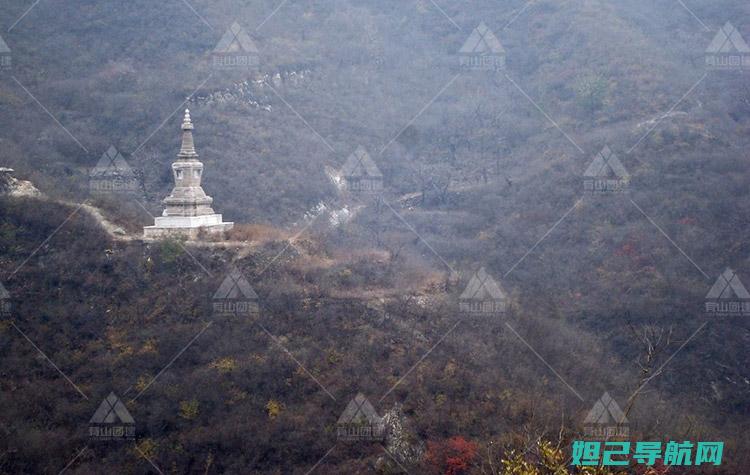 详尽解析：谷歌手机系统刷机步骤及教程 (谷谷意思)