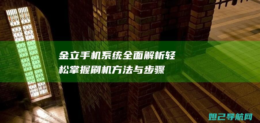 金立手机系统全面解析：轻松掌握刷机方法与步骤 (金立手机系统升级官网)