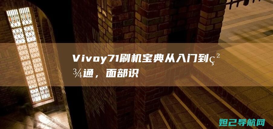 Vivoy71刷机宝典：从入门到精通，面部识别设置全攻略 (vivoy78nfc功能吗在哪打开)