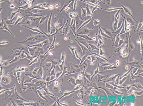 联系320t手机刷机教程详解：简单操作助你轻松升级 (联系320s)