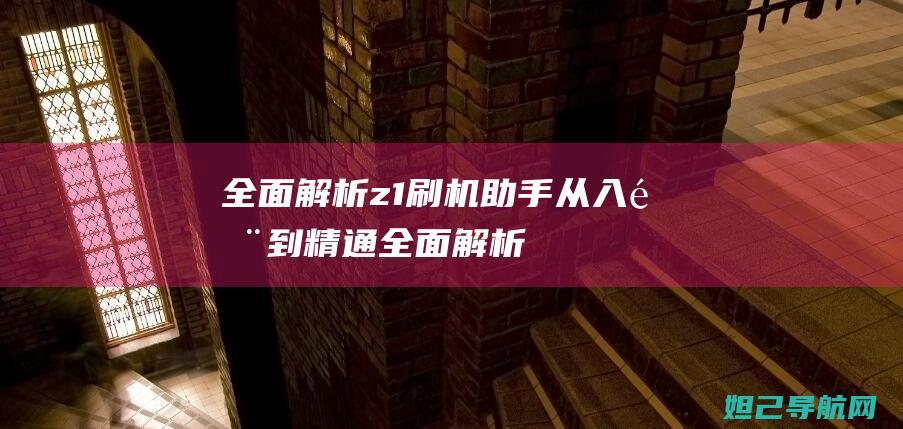 全面解析z1刷机助手：从入门到精通 (全面解析左旋肉碱的功效)