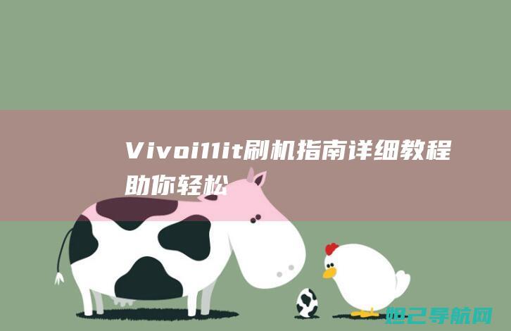 Vi11it刷机指南详细教程助你轻松