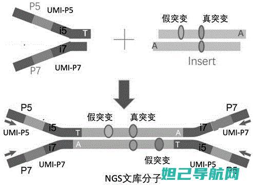 umi-r1手机刷机全攻略：从入门到精通