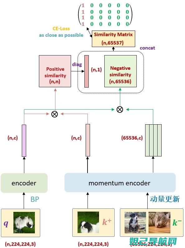 全面解析摩羯男