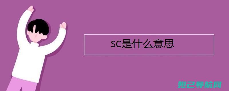 详细解析sch-i699i刷机步骤，轻松搞定手机系统升级 (详细解析是什么意思)