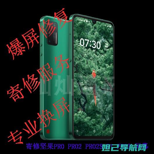 锤子坚果P9008刷机全攻略：步骤详解，轻松上手 (锤子坚果Pro)