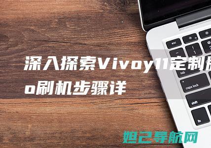 深入探索：Vivoy11定制版手机刷机步骤详解 (深入探索的意思)