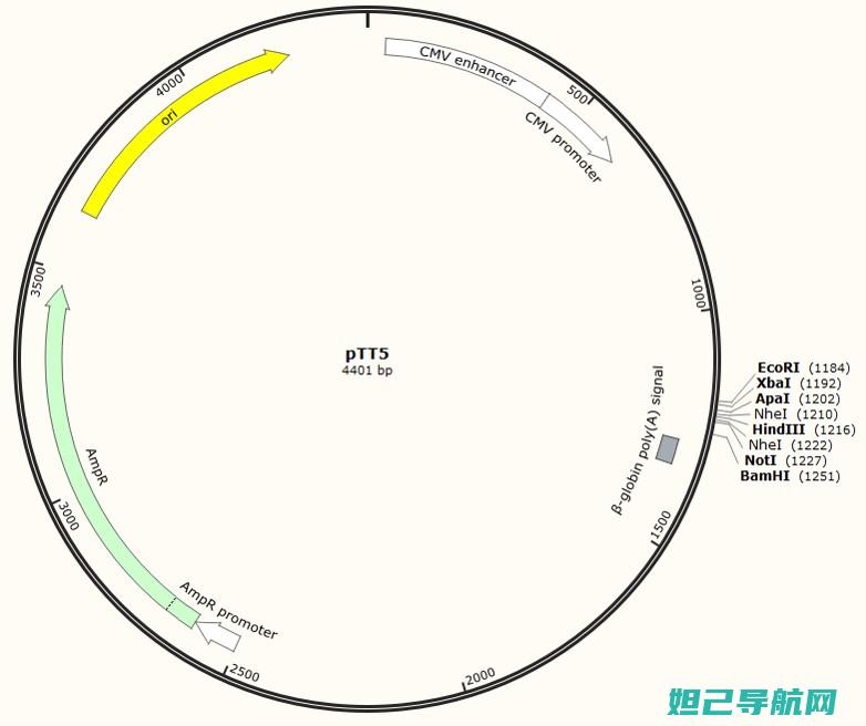 TCL P501M手机升级必备：详细刷机教程分享 (tclp501m刷机包下载)