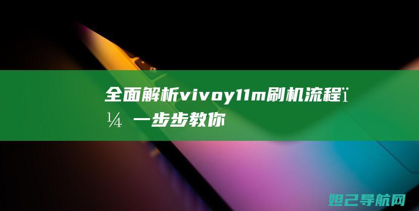 全面解析vivoy11m刷机流程，一步步教你轻松搞定 (全面解析vip)