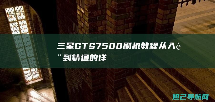 三星GTS7500刷机教程：从入门到精通的详细指南 (三星gts7568)