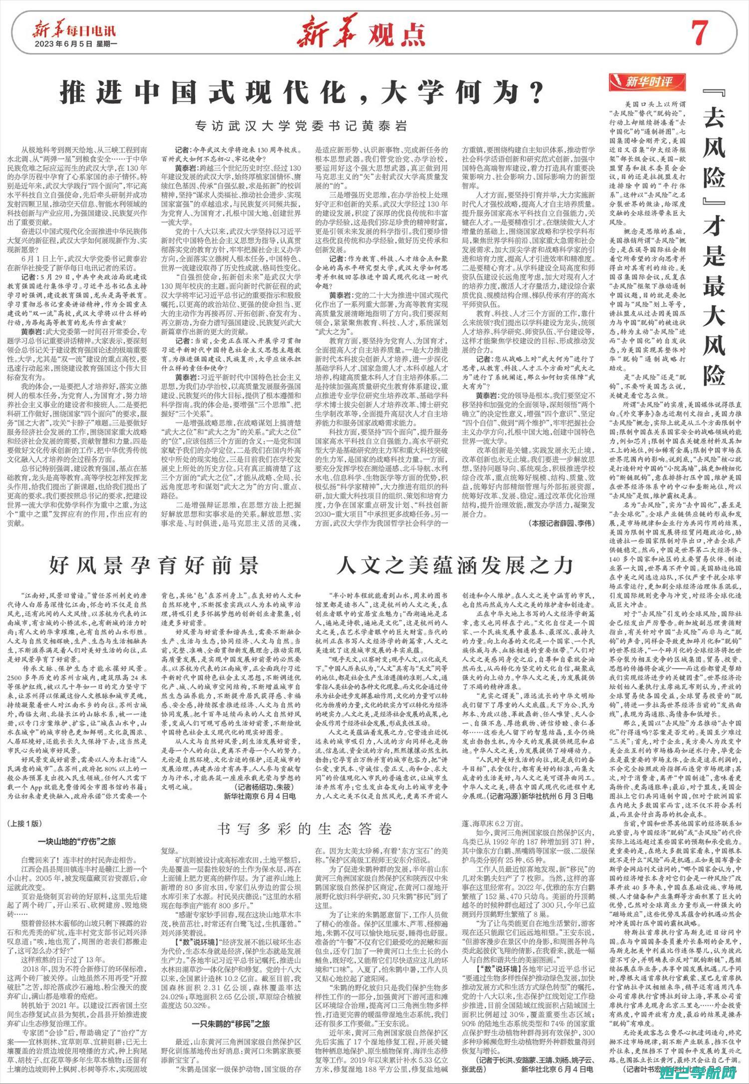 全新解析