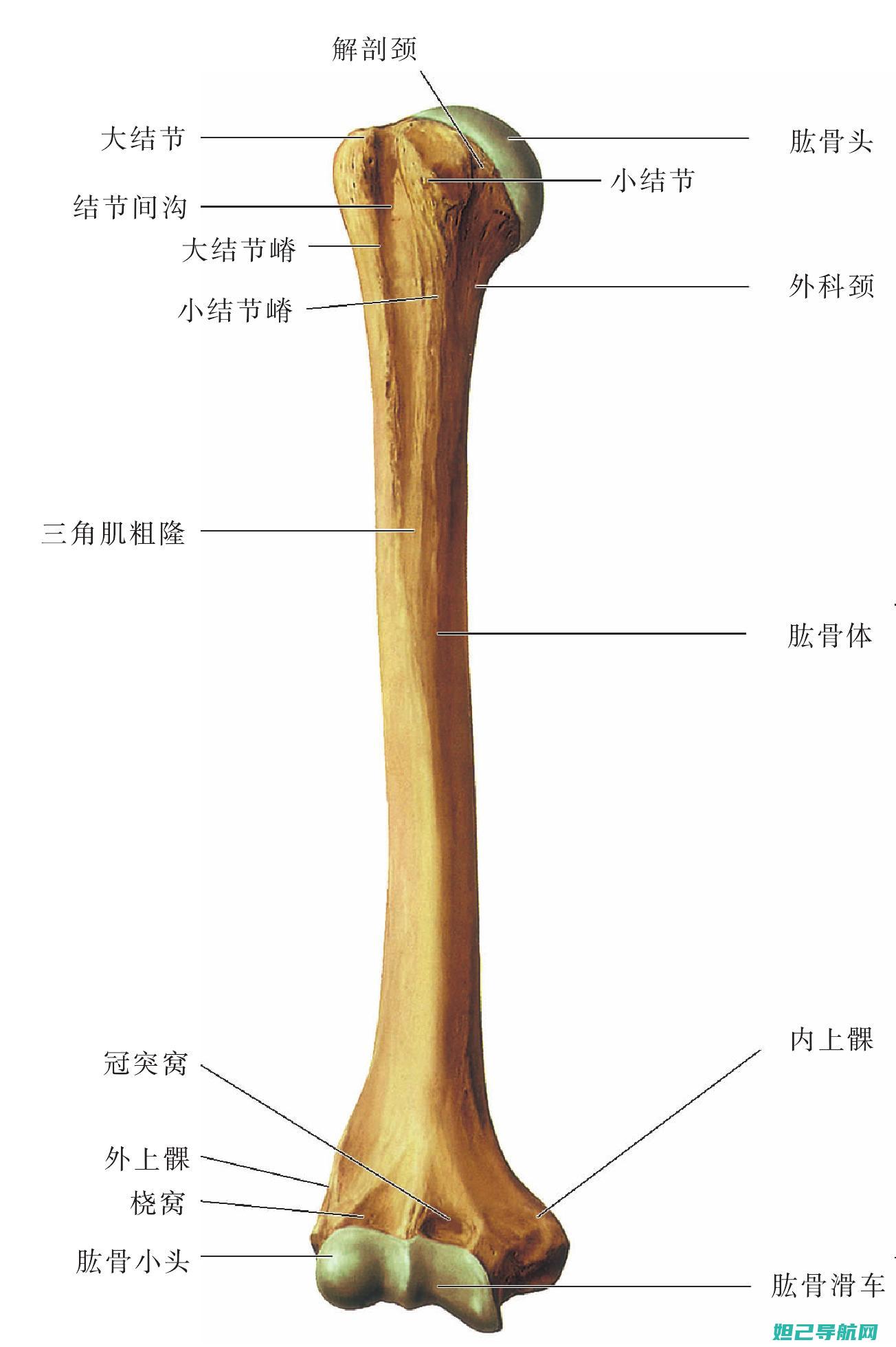 图解详解：小米9手机卡刷教程，操作指南一网打尽 (小图解说)