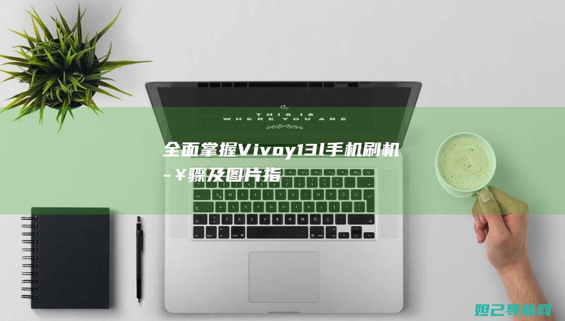 全面掌握Vivoy13l手机刷机步骤及图片指南 (全面掌握近义词)