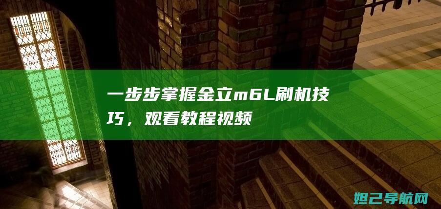 一步步掌握金立m6L刷机技巧，观看教程视频 (一步步掌握金钱的成语)