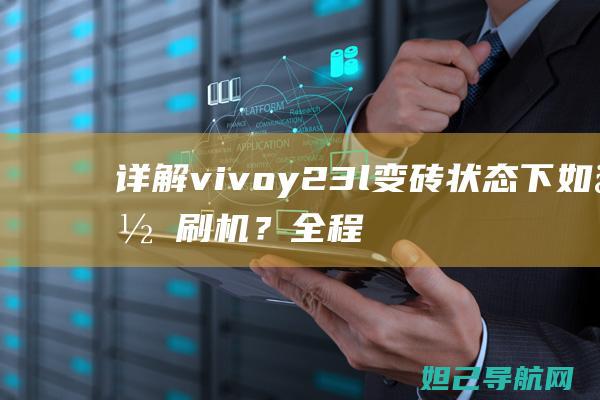 详解vivoy23l变砖状态下如何刷机？全程教程助你轻松解决 (详解vie股权架构)