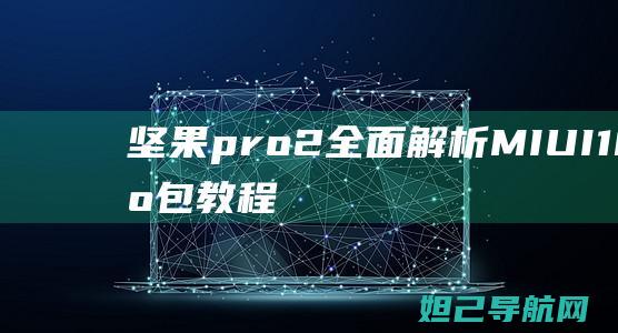 坚果pro2全面解析：MIUI10刷机包教程 (坚果pro2参数)