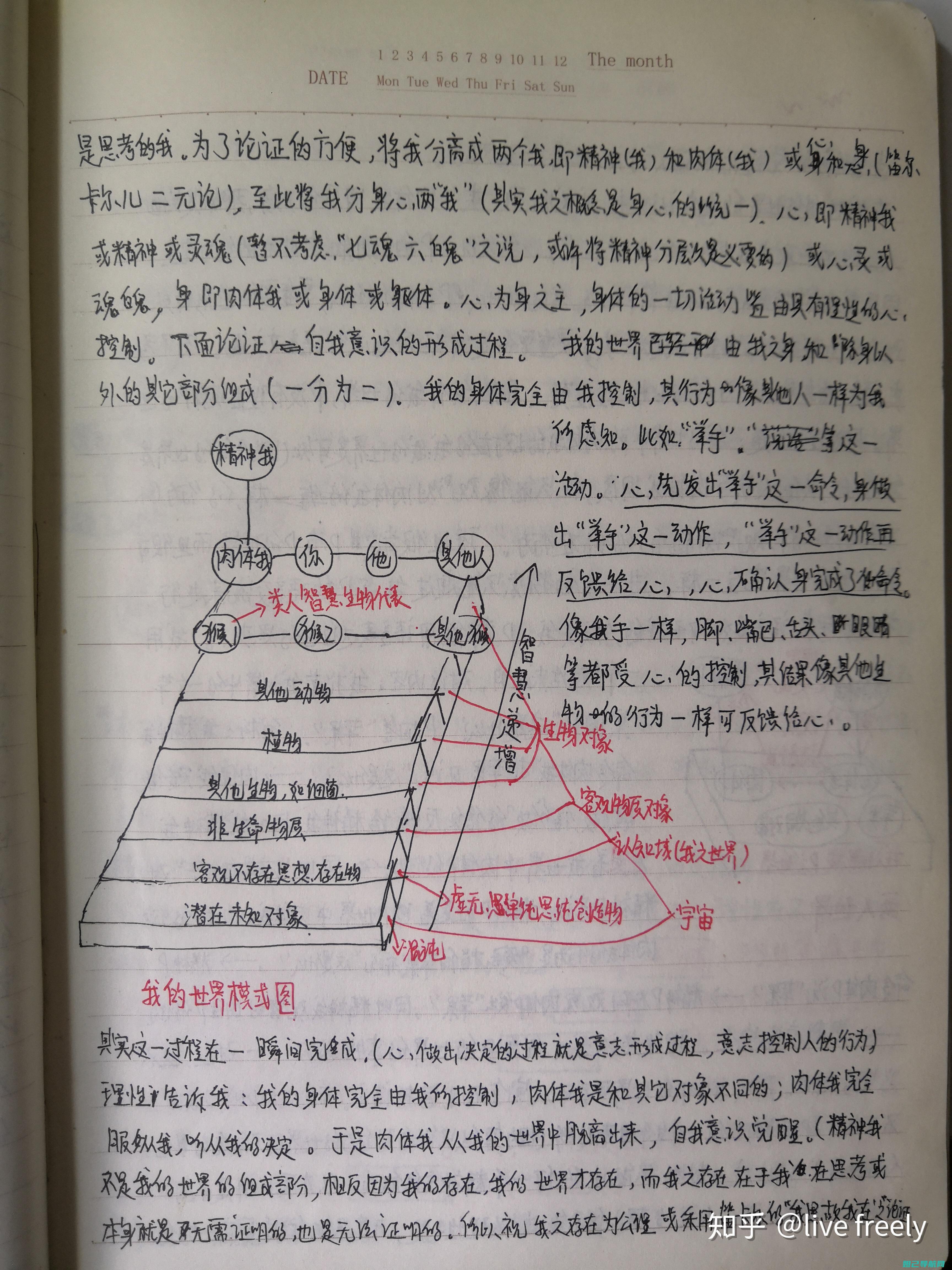 一步步带你玩转酷派大神f2双4G刷机教程攻略 (一步步带你玩的成语)